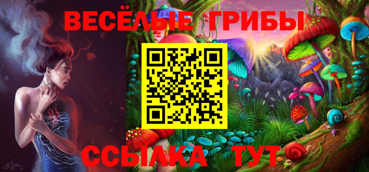 Галлюциногенные грибы прущие грибы Родники